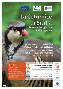 Mostra ornitologica 16 2 2015