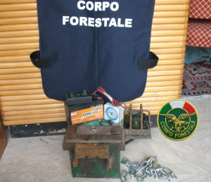Guardia Forestale 2