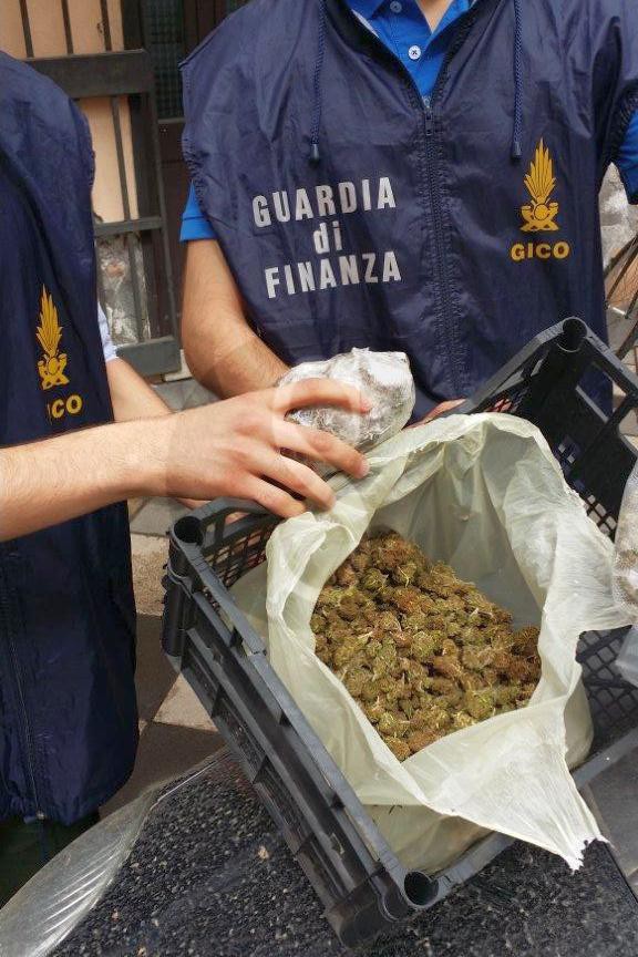 Marijuana 2 Guardia di Finanza Catania Sicilians 23 5 16