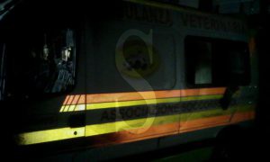 Ambulanza animali bruciata6 Sicilians