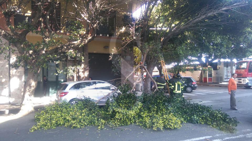 Messina albero caduto 5 Sicilians