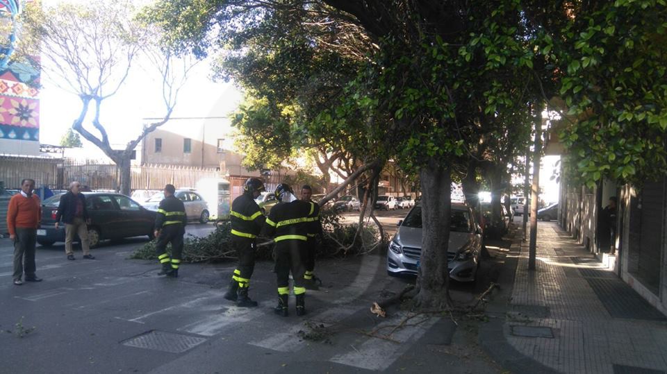 Messina albero caduto 6 Sicilians