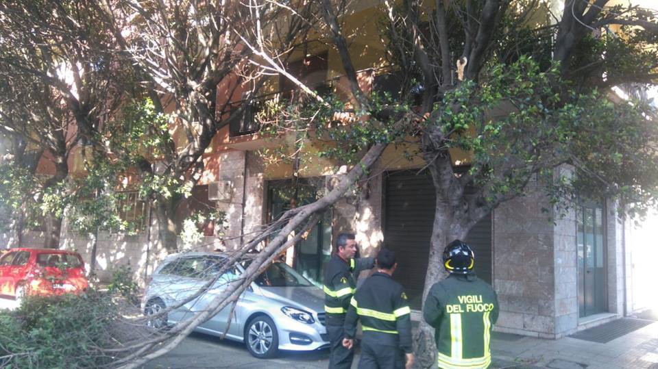 Messina albero caduto 7 Sicilians