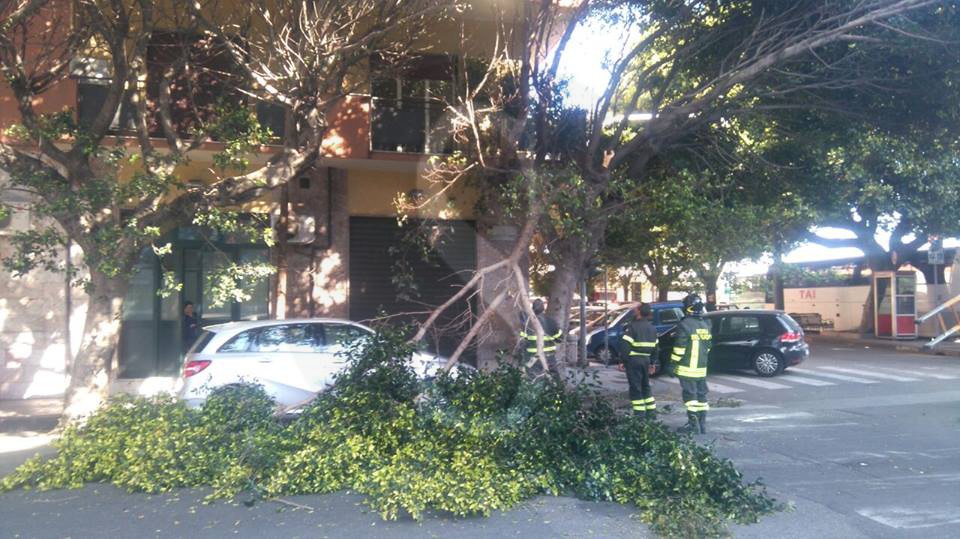 Messina albero caduto 8 Sicilians