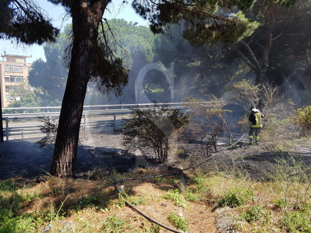 Messina autostrada incendio 1 Sicilians