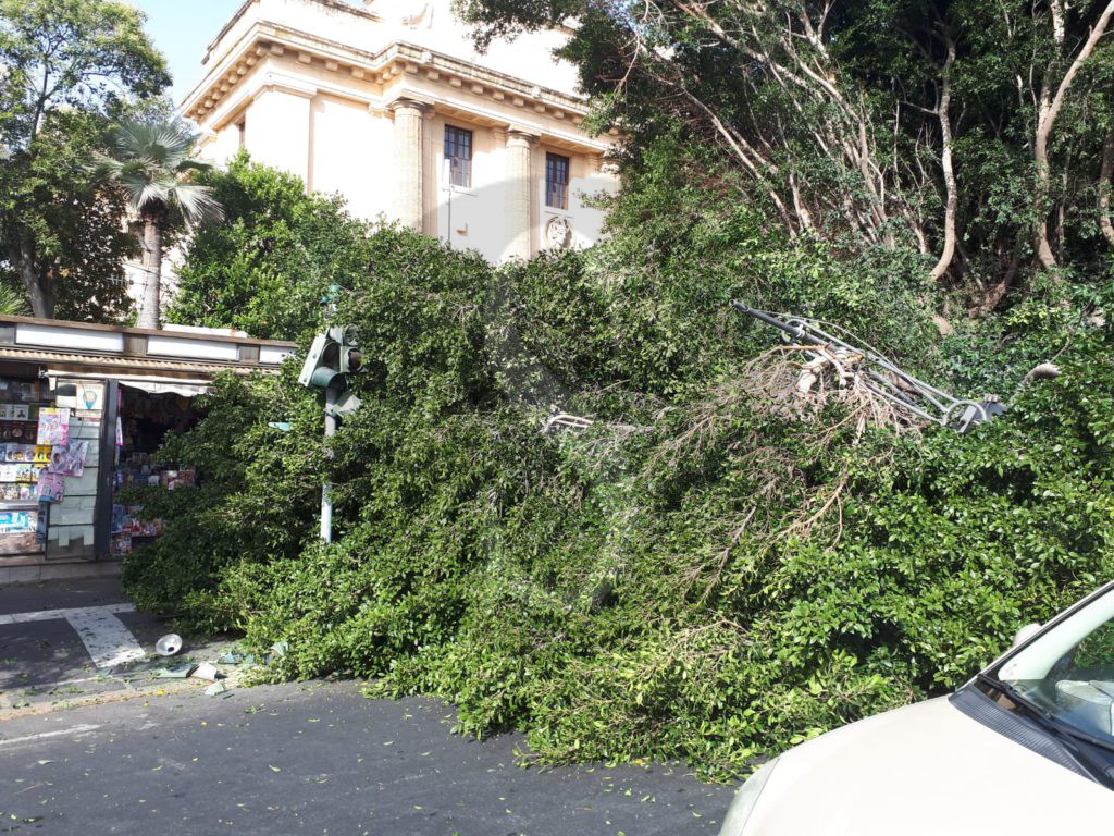 Messina crollo albero viaTommasoCannizzaro 10 Sicilians