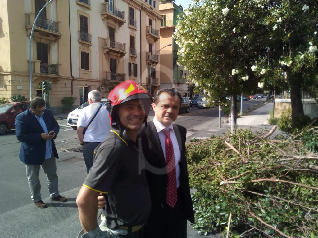 Messina crollo albero viaTommasoCannizzaro 13 Sicilians