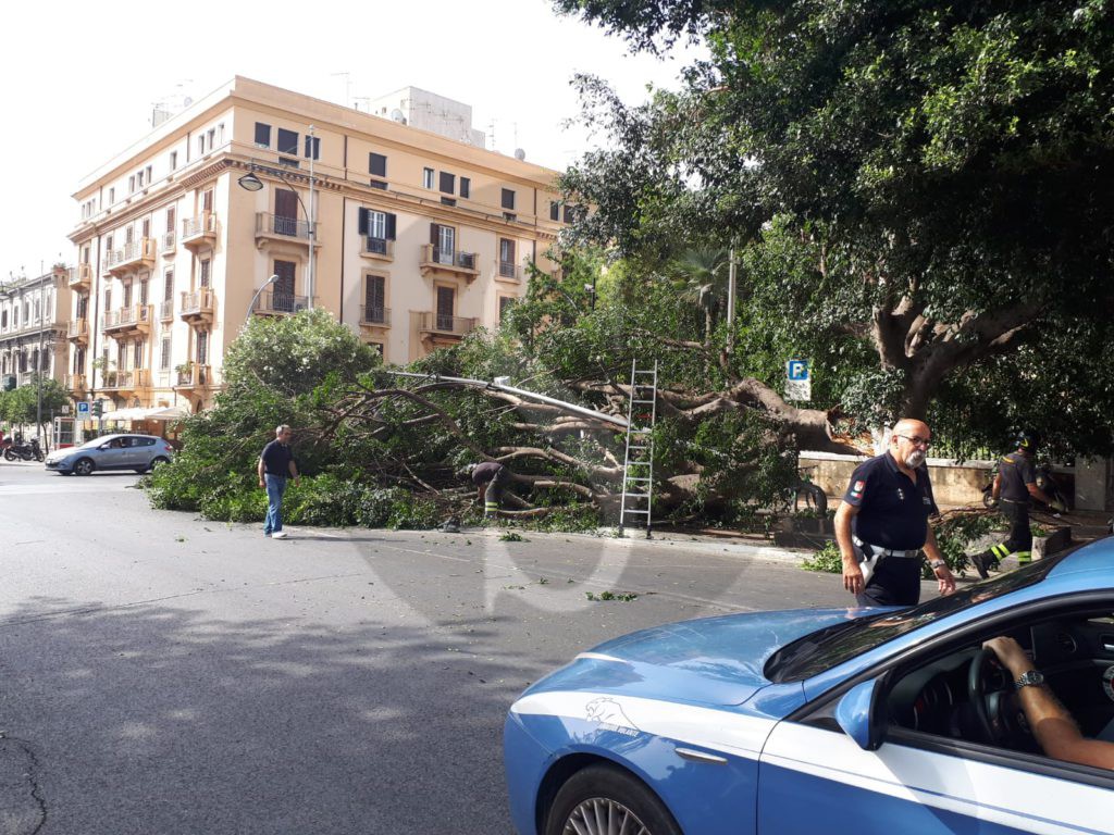 Messina crollo albero viaTommasoCannizzaro 2 Sicilians