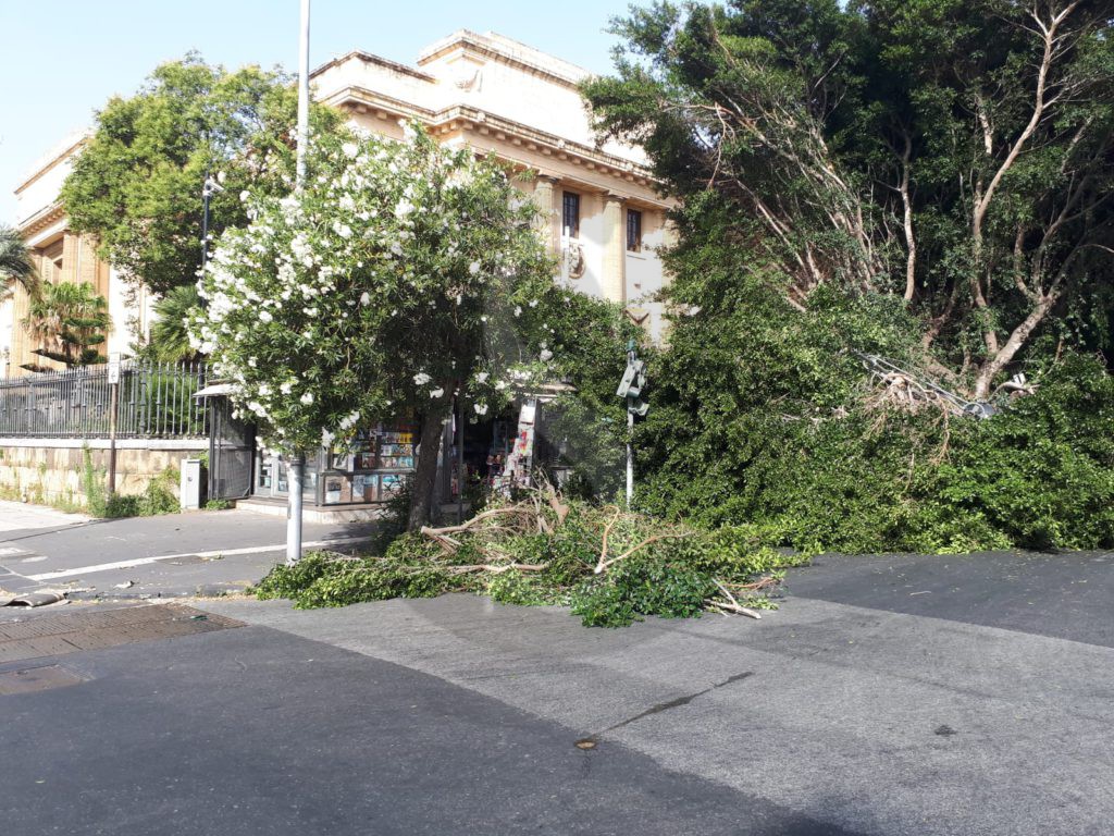 Messina crollo albero viaTommasoCannizzaro 3 Sicilians