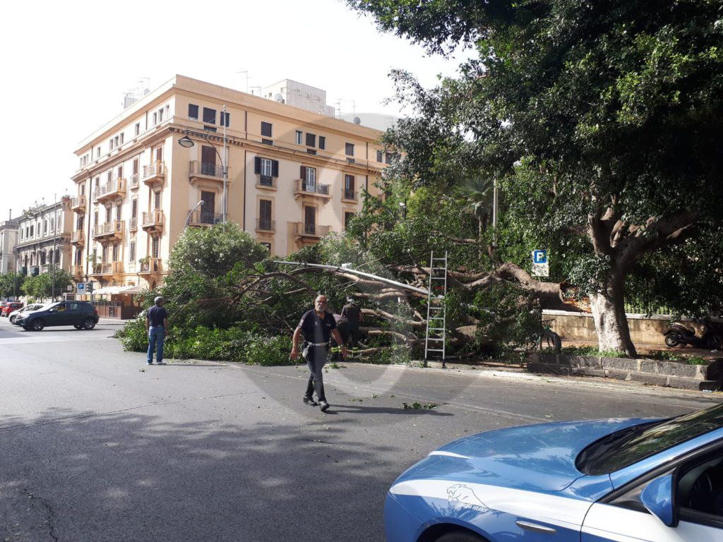 Messina crollo albero viaTommasoCannizzaro 4 Sicilians