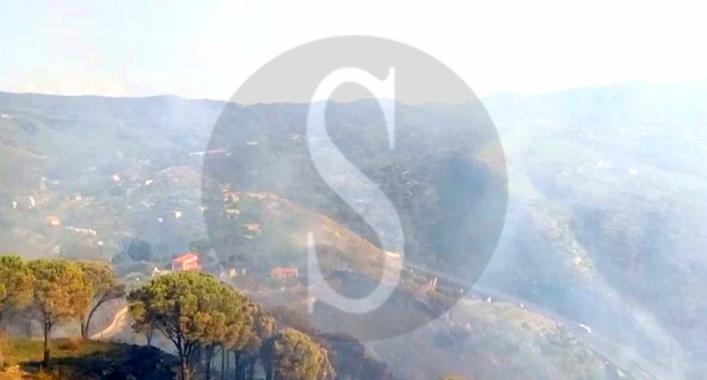 Messina incendio SaliceCastaneaPinetaCalamona 1 Sicilians