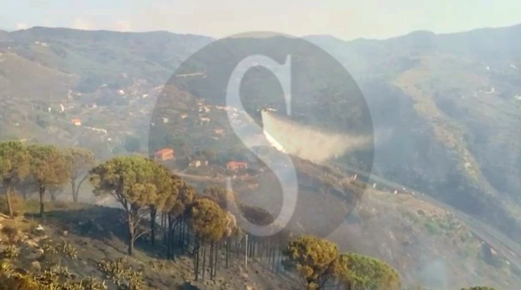 Messina incendio SaliceCastaneaPinetaCalamona 6 Sicilians
