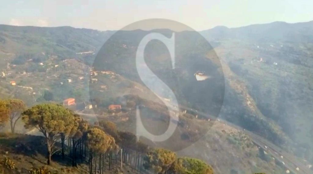 Messina incendio SaliceCastaneaPinetaCalamona 7 Sicilians