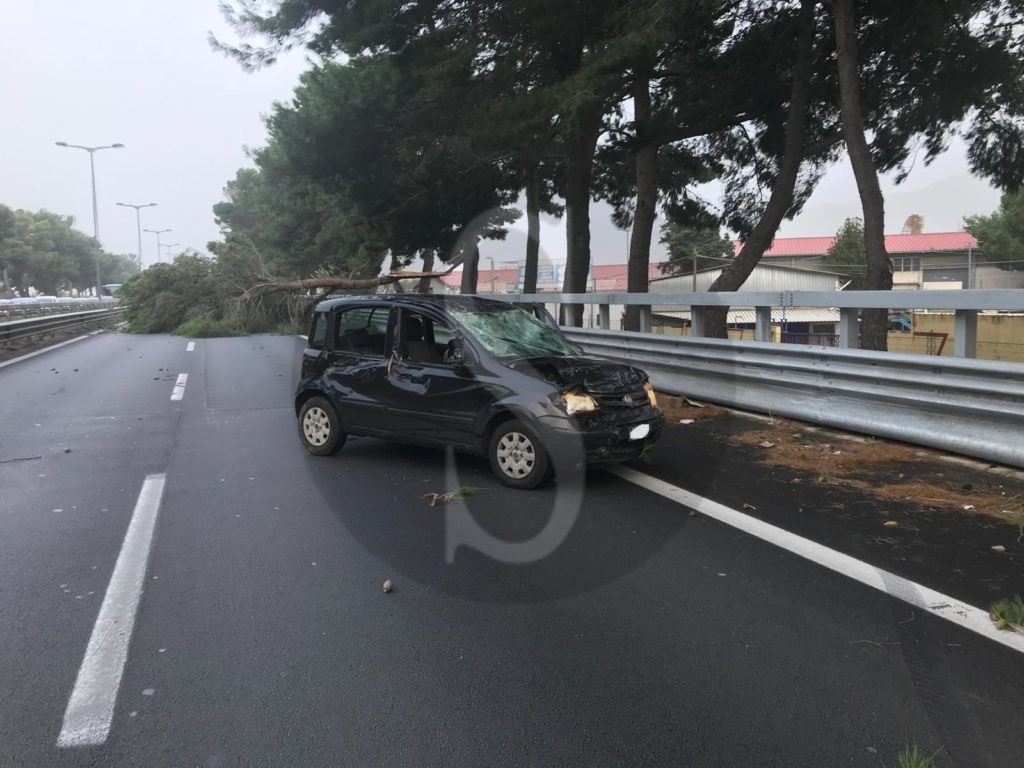 Autostrada alberosuauto 3 Sicilians