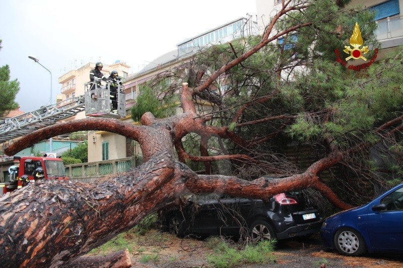 Messina caduta albero vialeReginaMargherita 6 Sicilians