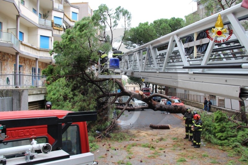 Messina caduta albero vialeReginaMargherita 8 Sicilians