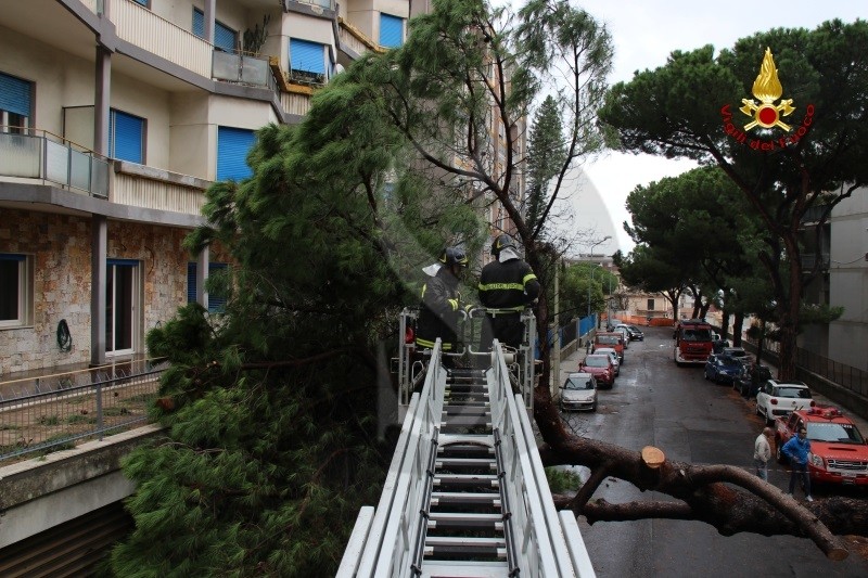 Messina caduta albero vialeReginaMargherita 9 Sicilians