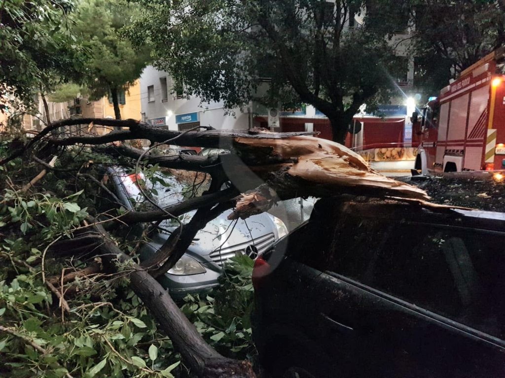 Messina crollo albero vialePrincipeUmberto 3 Sicilians