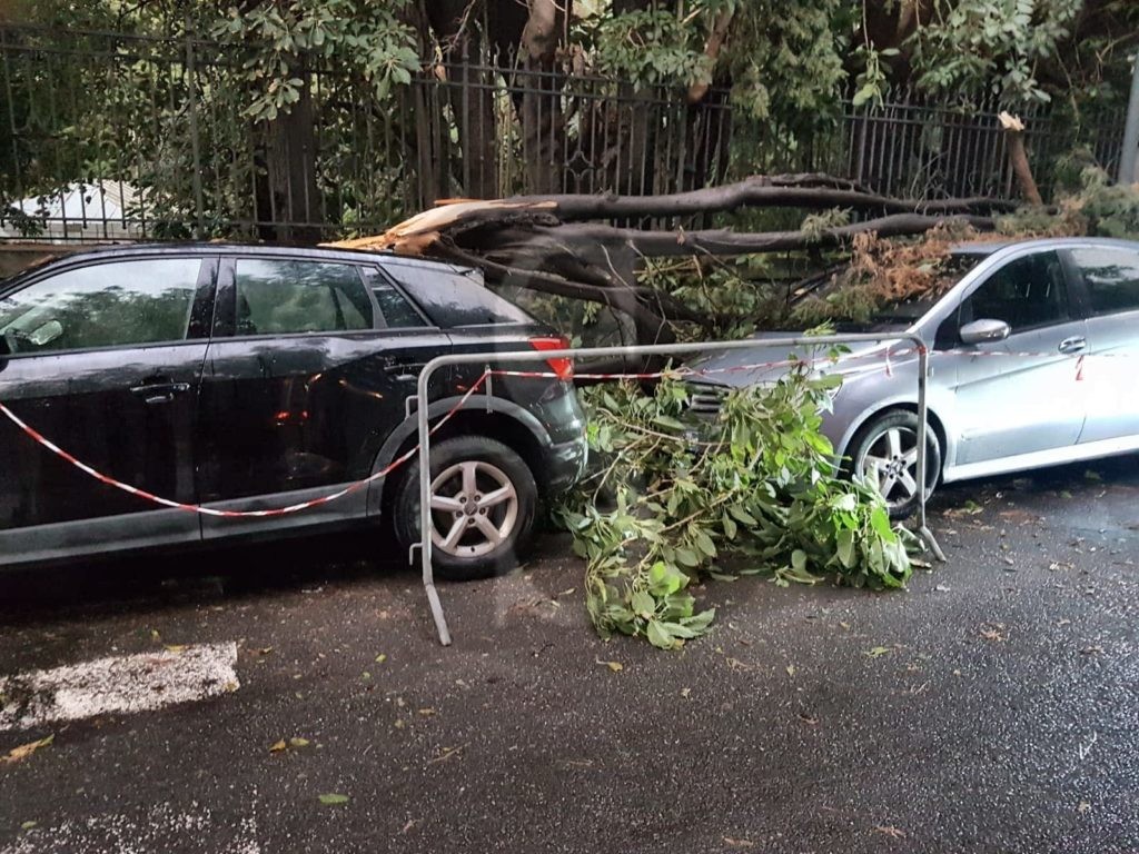 Messina crollo albero vialePrincipeUmberto 4 Sicilians