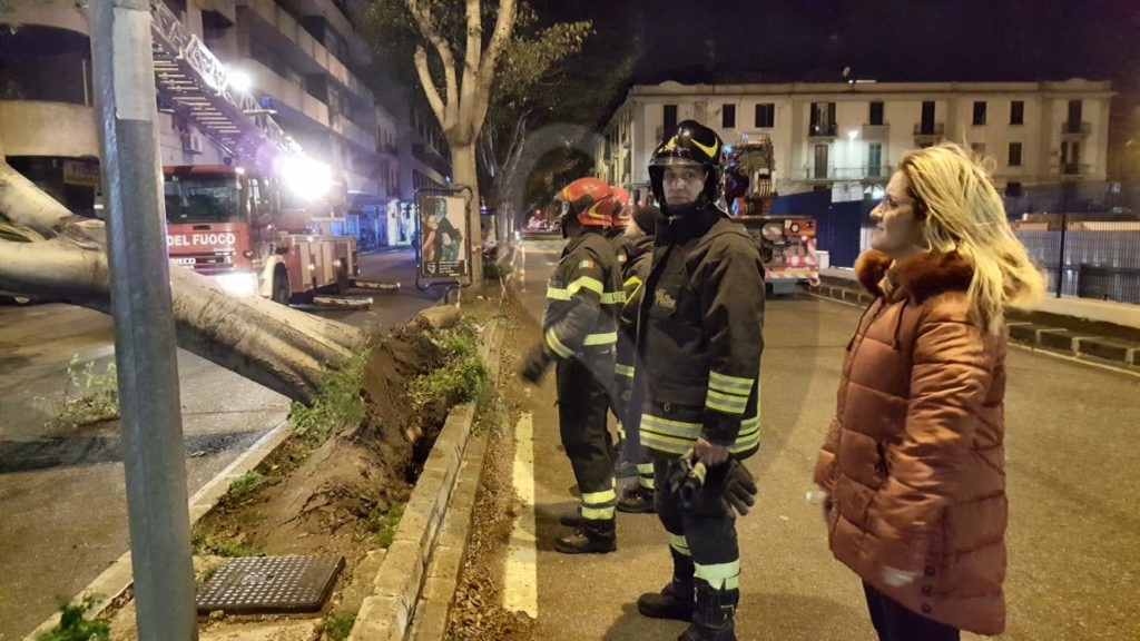 Messina albero caduto viaLaFarina 11 Sicilians