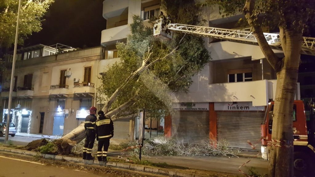 Messina albero caduto viaLaFarina 2 Sicilians
