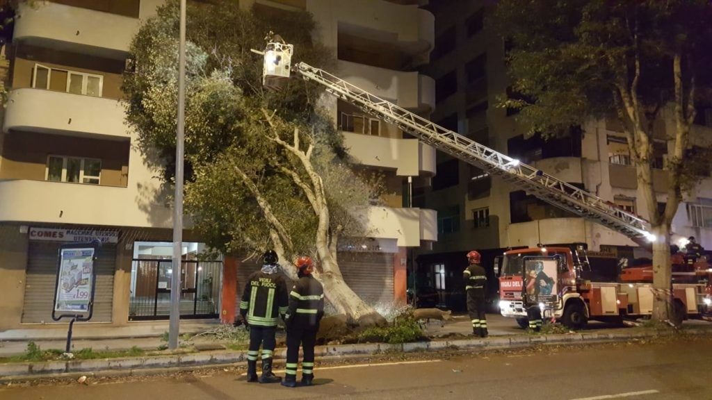 Messina albero caduto viaLaFarina 3 Sicilians