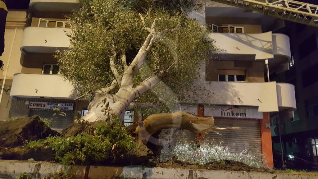 Messina albero caduto viaLaFarina 4 Sicilians