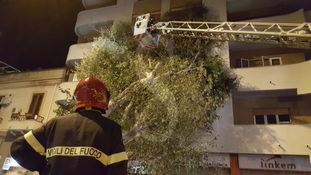 Messina albero caduto viaLaFarina 5 Sicilians