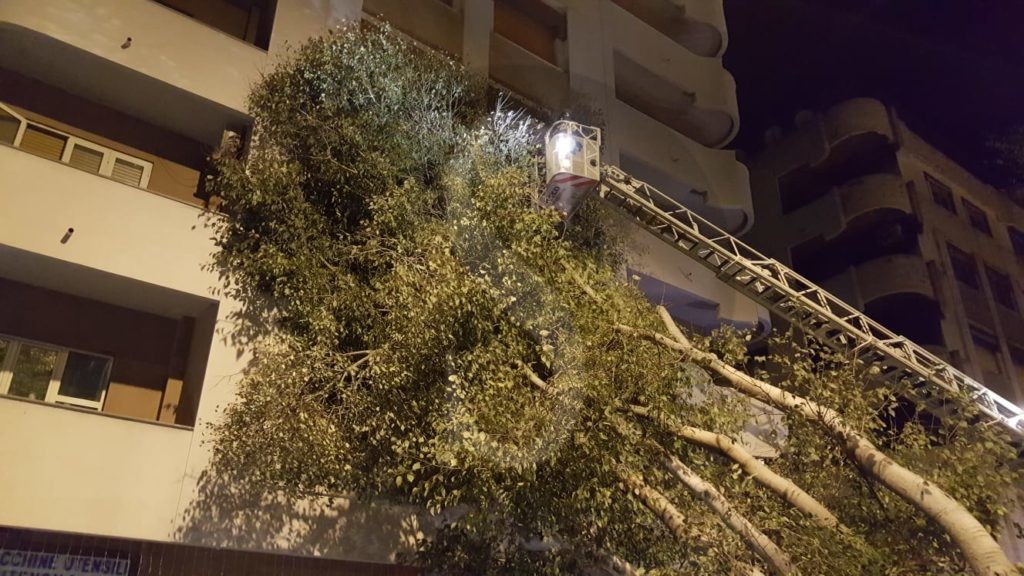 Messina albero caduto viaLaFarina 6 Sicilians