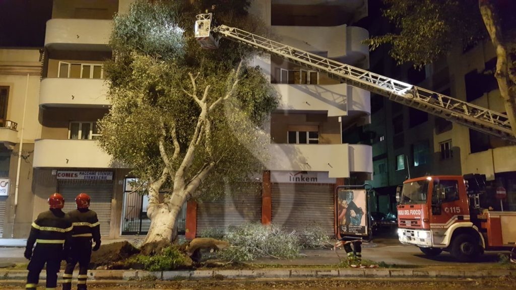 Messina albero caduto viaLaFarina 7 Sicilians