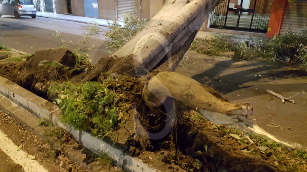Messina albero caduto viaLaFarina 9 Sicilians