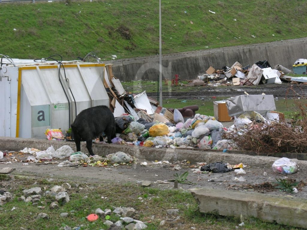 Milazzo centro raccolta rifiuti 6 Sicilians